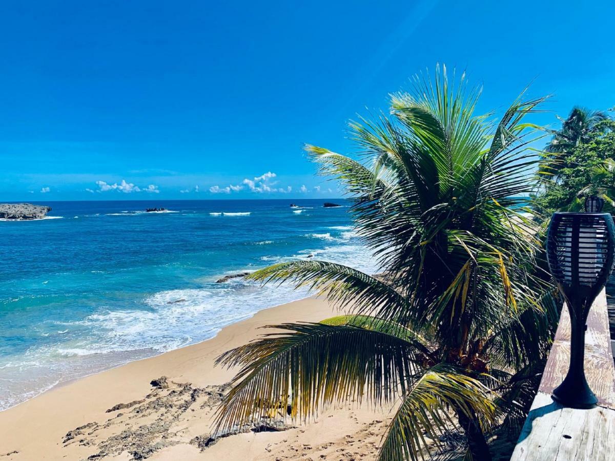 Ventana Al Atlantico At Arecibo 681 Ocean Drive Apartment Islote Exterior photo